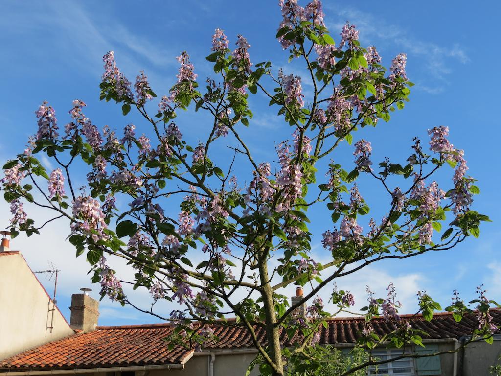 L'Aubinoise Bed & Breakfast Saint-Aubin-la-Plaine Bagian luar foto
